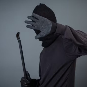 Эксперты назвали место Владимирской области по уровню преступности