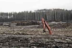Спиленные ради реконструкции аэропорта во Владимире деревья отправят в зону СВО