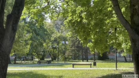 В Зерновском сквере во Владимире появится бюст Павла Зернова