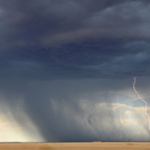 МЧС предупредило о грозе и шквалистом ветре во Владимирской области