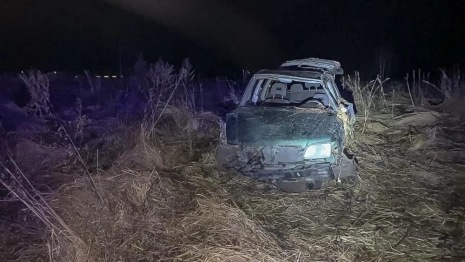 В Камешковском районе водитель улетевшей в кювет иномарки попал в больницу