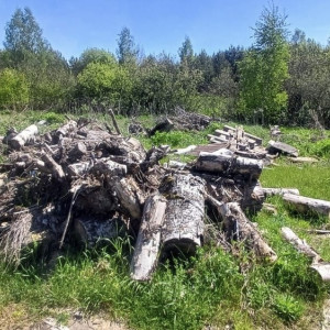 В селе под Суздалем нашли 4 огромные свалки