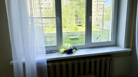 В Муроме 3-летняя девочка выпала из окна второго этажа