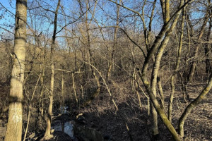 Владимирцы испугались строительства торгового центра на месте парка у ДТЮ