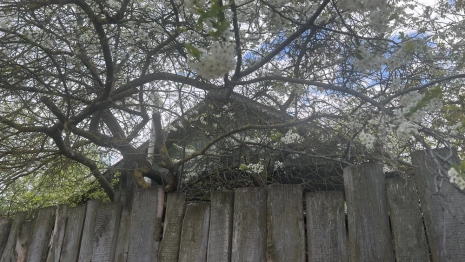 Во Владимирской области пообещали потепление до +17 градусов