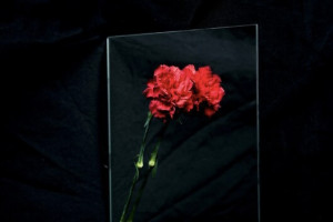 Во Владимире на съемной квартире нашли разложившийся труп мужчины