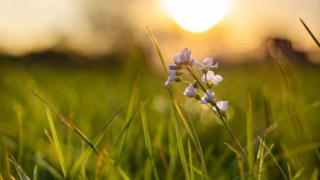 Прогноз погоды во Владимирской области на 25 августа