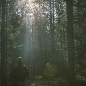 Во Владимирской области в подготовке к пожароопасному сезону нашли 72 нарушения