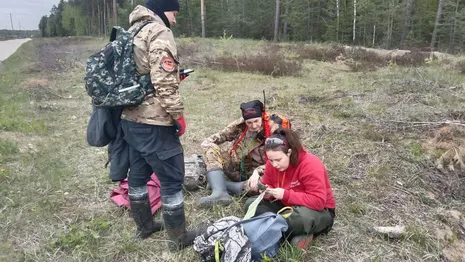 Владимирская область оказалась в лидерах по заявкам на поиски на природе