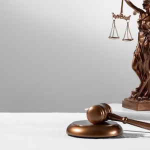 Жителя Владимира осудили за оскорбление прокурора и избиение полицейского