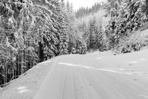 Во Владимирской области на улице нашли обледеневший труп