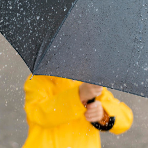 Прогноз погоды во Владимирской области на 8 ноября