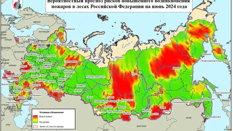 Владимирскую область включили в зеленую зону на карте лесных пожаров