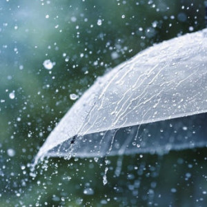 Сентябрь во Владимирской области начнется с двухнедельных ливней