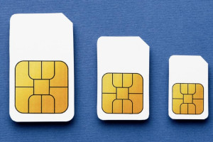 Владимирские силовики задержали двоих жительниц Подмосковья за размещение сим-боксов