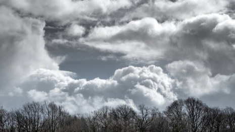 МЧС Владимирской области разослало экстренное предупреждение о грозе и ливне