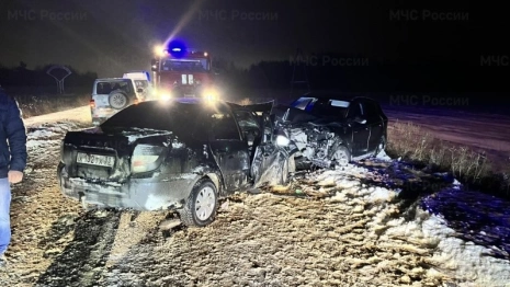 Спасатели деблокировали 2 пострадавших в ДТП под Суздалем