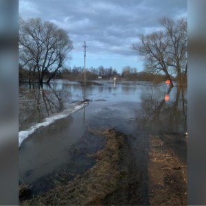 В Собинском районе едва не утонула женщина при попытке перейти разлившуюся Колокшу