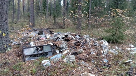 Во Владимирской области особо охраняемые природные территории завалили мусором