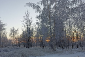 Прогноз погоды во Владимирской области на 21 февраля 2025 года