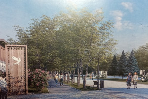 В центре Суздаля взамен спиленных лип высадят новые