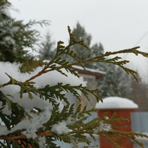 Прогноз погоды во Владимире и области на 7 декабря