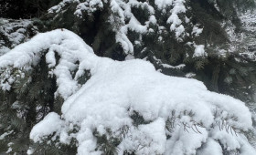 Прогноз погоды во Владимирской области на 8 февраля 2026 года