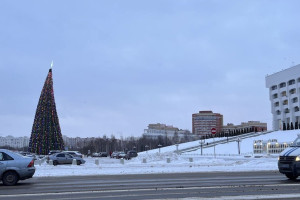 Во Владимире поставили «Пизанскую елку» у Белого дома