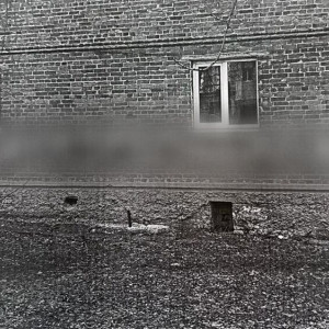 Владимирец ответит в суде за антивоенную надпись на стене дома