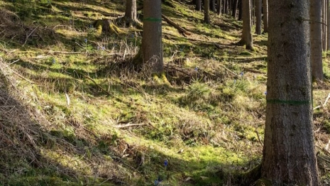 День Ефремии: что можно и нельзя делать 29 сентября