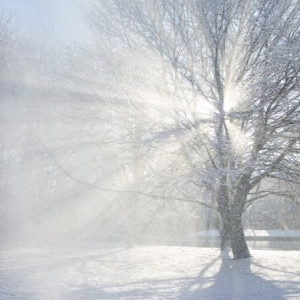 Прогноз погоды во Владимирской области на 23 февраля