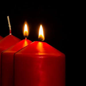 Двум школам во Владимирской области присвоят имена погибших на Украине военных