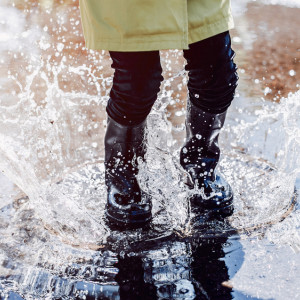 Прогноз погоды во Владимирской области на 19 октября