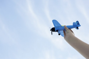 У продавца игрушечных самолетов из Гусь-Хрустального отсудили 50 тыс. рублей