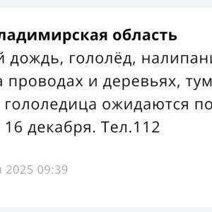 Во Владимирской области пойдет ледяной дождь 16 декабря