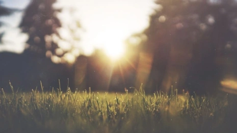 День Еремея Распрягальника: что можно и чего нельзя делать 13 июня