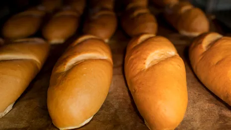 Пекарю «Кольчугинского хлебокомбината» раздробило кисти рук на производстве