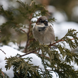 Во Владимирскую область на неделе вернется похолодание до -12