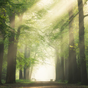 Во Владимирской области женщину в серых босоножках нашли живой
