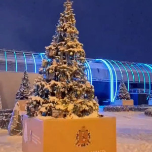 Елку от Владимирской области установили на выставке «Россия»