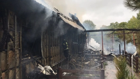 Под Александровом огонь уничтожил частный щитовой дом 