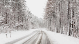 Владимирскую область засыпет снегом
