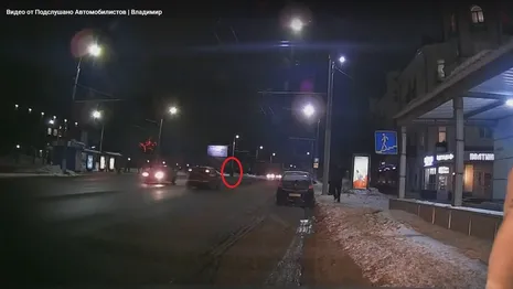Во Владимире момент смертельного ДТП у госуниверситета попал на видео