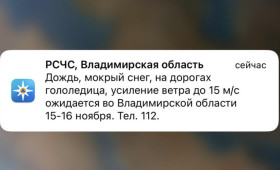 МЧС предупредило владимирцев о мокром снеге и гололедице 15 и 16 ноября