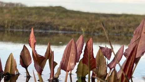 Во Владимирской области резко похолодает