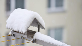 Во Владимирской области спрогнозировали продолжение снежного апокалипсиса
