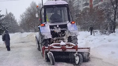 Тыква размером с автомобиль: чудеса существуют | Огород | Дача | Аргументы и Факты