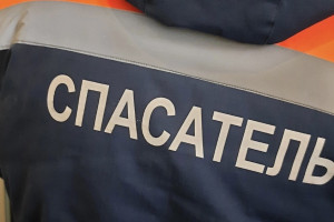 В Коврове спасатели съехались к дому стучавшей по полу и мычавшей женщины