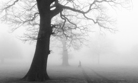 Прогноз погоды во Владимире и области на 8 декабря 2025 года