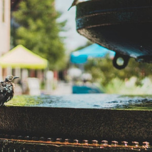 Первая волна жары накрыла Владимирскую область